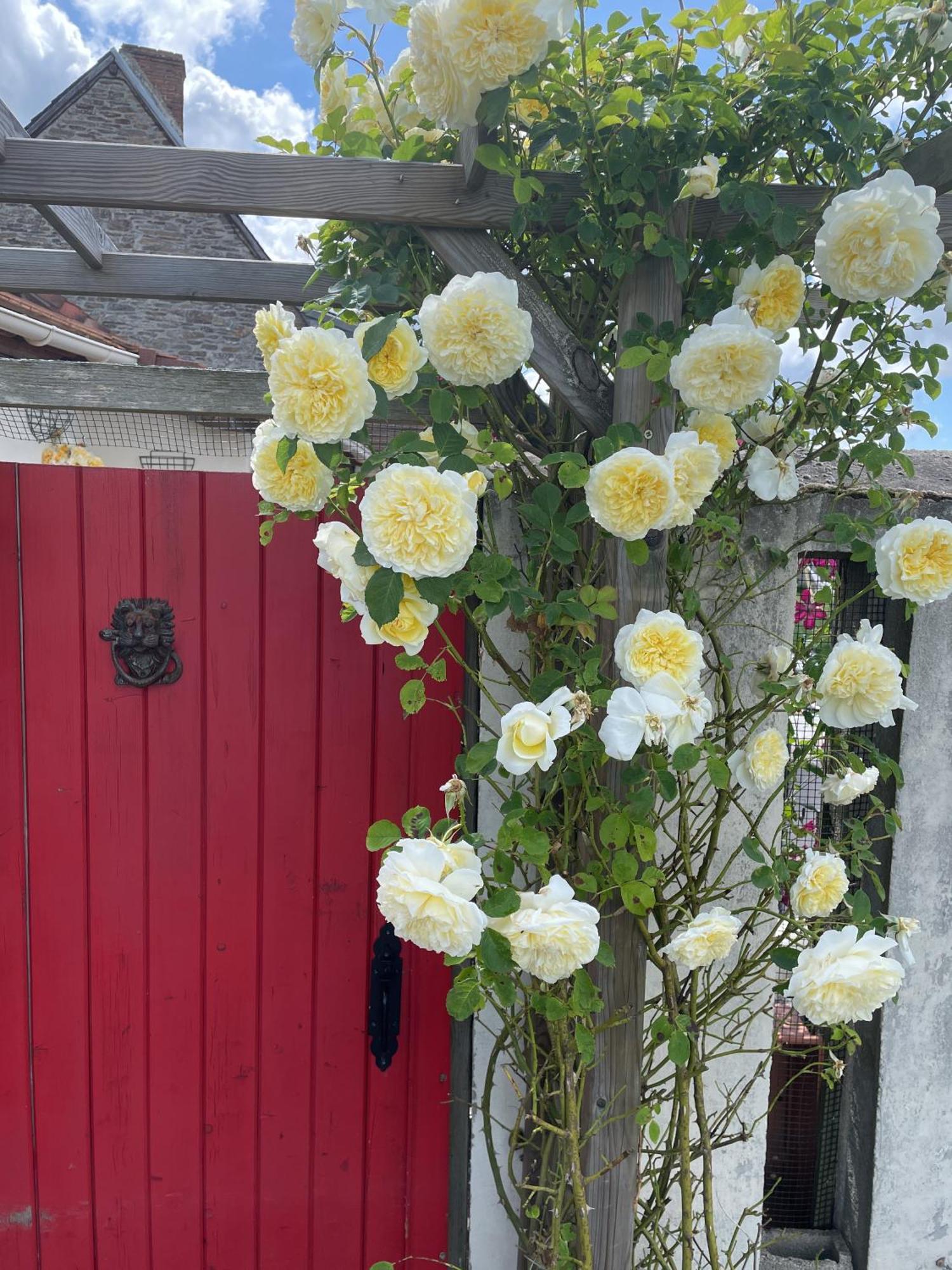 Delightful French Rustic Studio Jumilhac-le-Grand Buitenkant foto