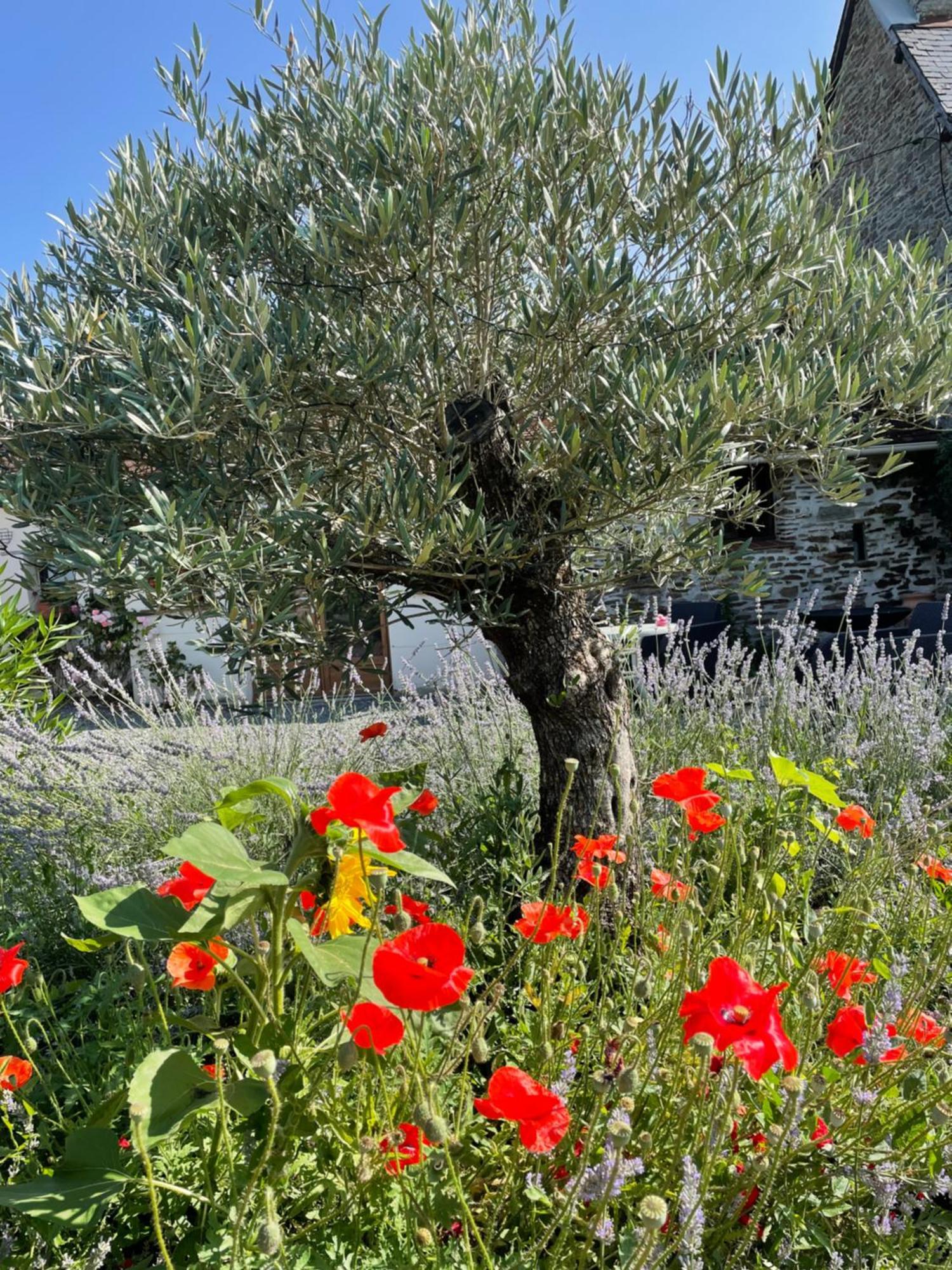 Delightful French Rustic Studio Jumilhac-le-Grand Buitenkant foto